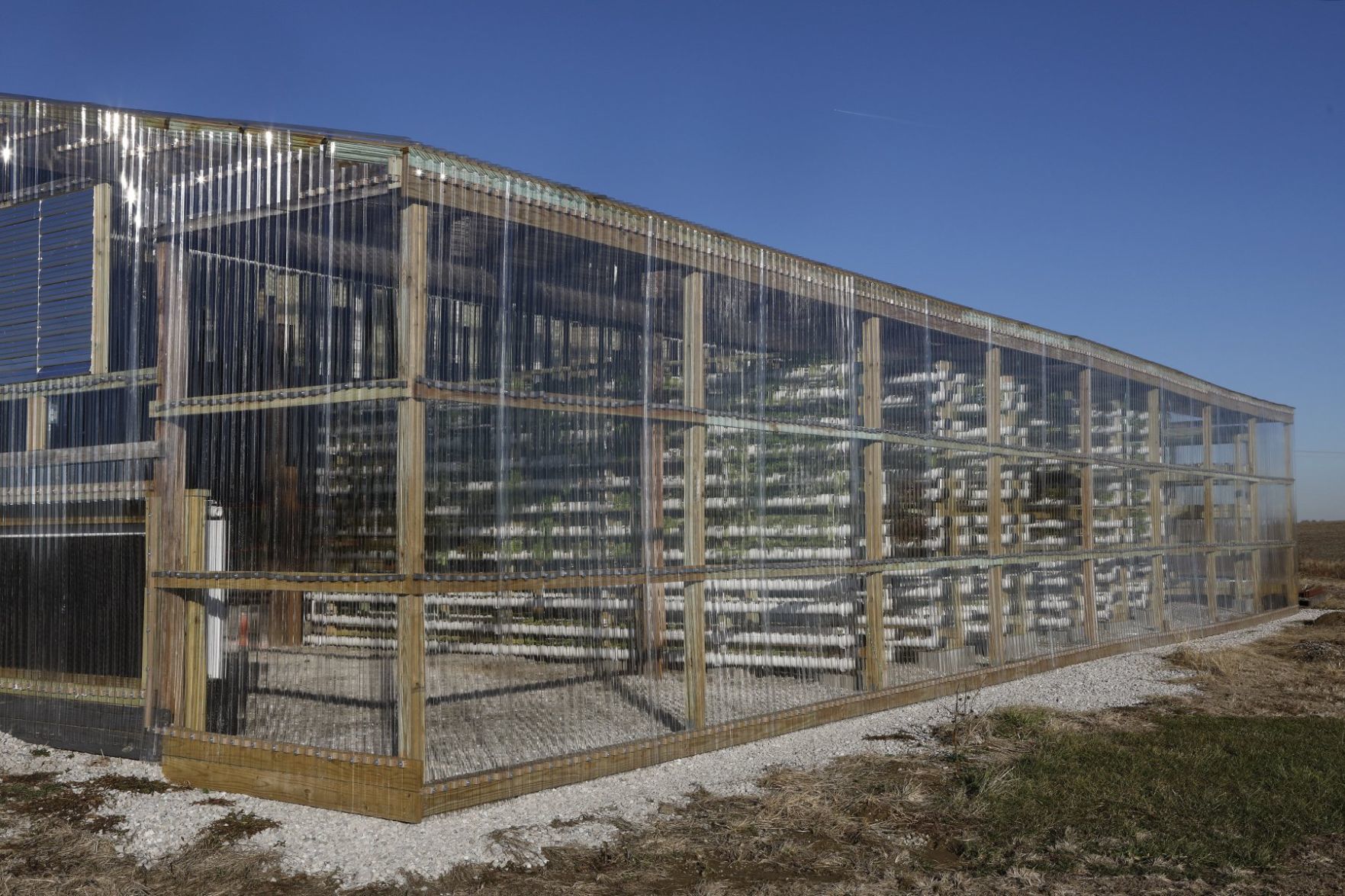 The Mueth brothers give vertical farming a try